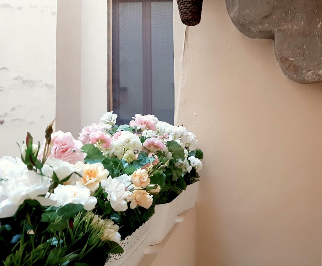 Velvet Loft - Santo Spirito Apartment Firenze Eksteriør billede